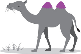 cartoon camel with grass in its mouth standing in the desert gra