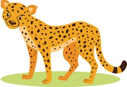 cartoon cheetah standing on the grass with a white background