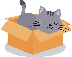 cartoon cute cat sleeping in a box