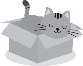 cartoon cute cat sleeping in a box gray color