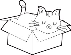 cartoon cute cat sleeping in a box outline