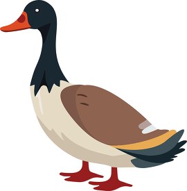 cartoon duck with a long beak and a brown body