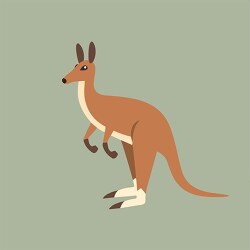 cartoon of a kangaroo with a gray background