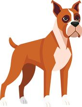 Cartoon style of a boxer dog standing looking playful
