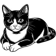 Cat line art featuring detailed fur and whiskers