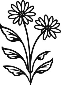 chamomile flower and plant black outline