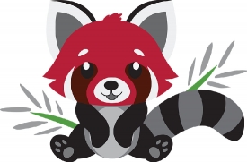 charming cute red panda sits shows fluffy ringed tail gray color