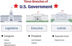 chart with three branches government clipart