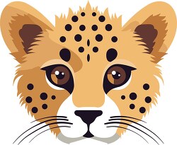 cheetah animal face