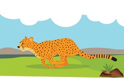 cheetah running in african savana vector clipart