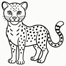 cheetah with distinctive spots black outline clipart