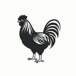 chicken silhouette depicted in black outline clip art