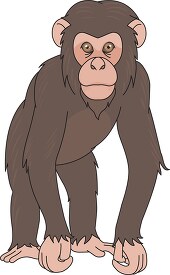 chimpanzee clipart 72111