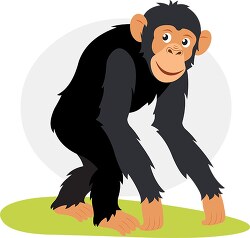 chimpanzee walking animal vector clipart