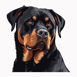 closeup face of rottweiler dog clip art