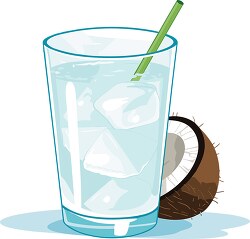 coconut water in a glass with ice