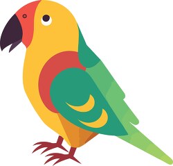 colorful parrot bird with a green and red beak