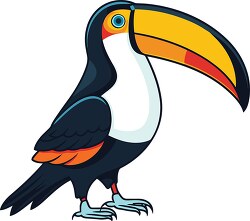 colorful toucan bird side view clipart