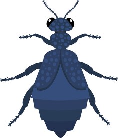 Common american oil beetle or blister beetle Clipart