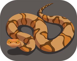 Copperhead venomous snake pit viper Clipart