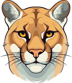 cougar animal face and head