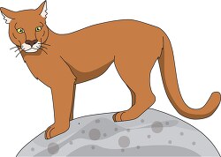 cougar large cat stands on large rock clip art