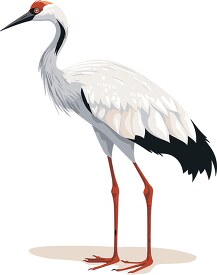 crane bird with distinctive bill