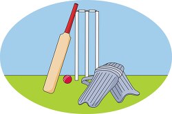 cricket equipment bat ball