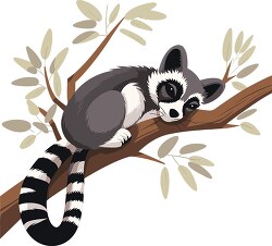 cuddly cute lemur sleeping in a tree
