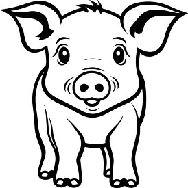 cute baby pig front view black outline