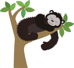 cute bear sleeping on a tree branch