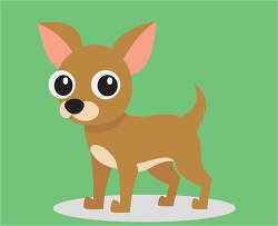 cute big eyed small chihuahua dog green background clipart