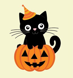 cute black cat wears a halloween hat as it sits in a pumpkin