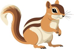 cute chipmunk with long furry tail