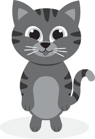 cute dark grey kitten standing in a playful manner  gray color c