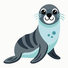 cute fur seal with large eyes