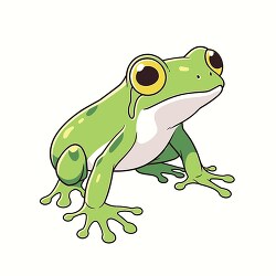 cute green tropical tree frog with big eyes