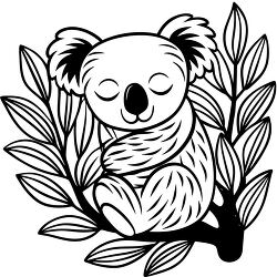 cute koala bear from australia black outline coloring