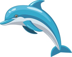 cute marine mammal a dolphin