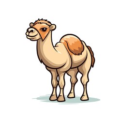 cute one hump camel