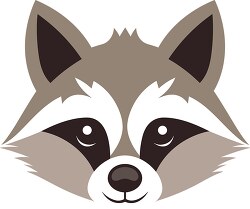 cute raccoon animal face