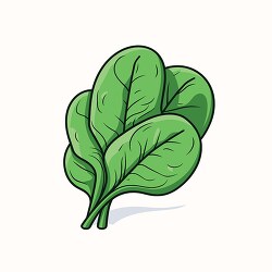 dark green fresh spinach leaves clip art