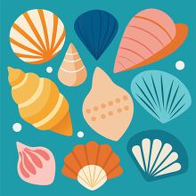 decorative set of colorful seashells against a teal background