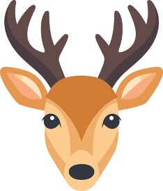 deer animal face 17