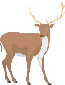 deer animal flat design clipart