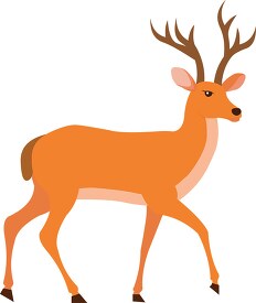 deer ruminant animal with antlers clipart 725