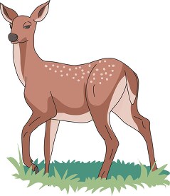 deer side view standing on grass clipart