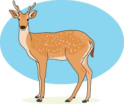 deer standing against blue background clipart