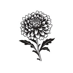 dhalia black outline coloring printable clipart