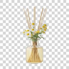 Diffuser With Daisies and Reeds in a Glass Vase